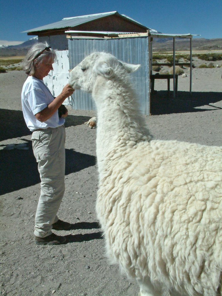 16-Marjolijn is viewing here pictures, the lama is watching.jpg - Marjolijn is viewing here pictures, the lama is watching